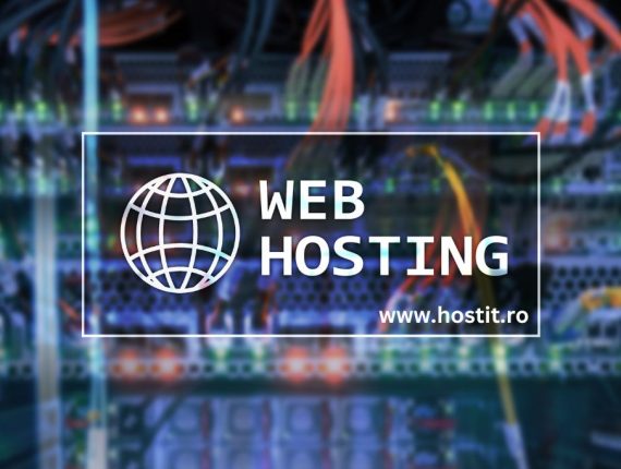 Ce înseamnă Web Hosting